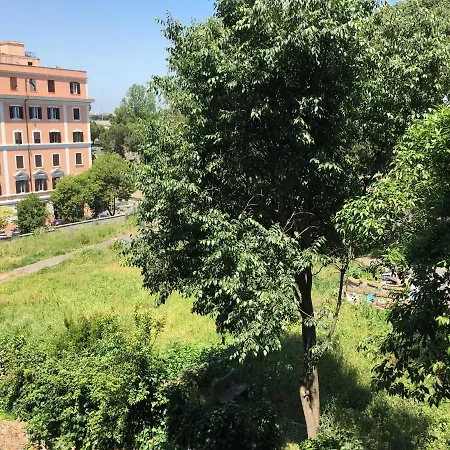 ゲストハウス Applecat 3*